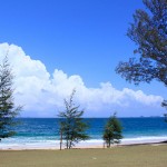 Aloha from Johor's Fantasy Island