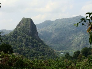 Perlis Park naturally is full of surprises
